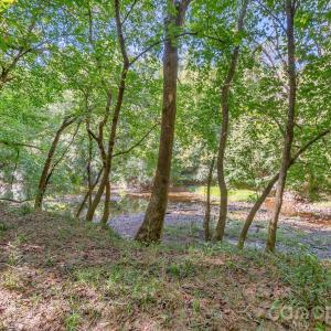 Photo #18 of 589 Bill Curlee, Polkton, NC