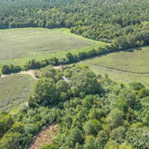 Photo #5 of 589 Bill Curlee, Polkton, NC