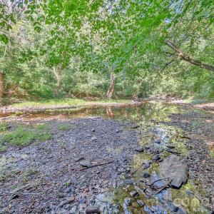 Photo #19 of 589 Bill Curlee, Polkton, NC