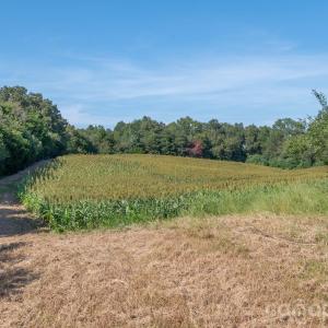 Photo #26 of 589 Bill Curlee, Polkton, NC