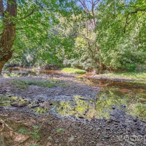 Photo #16 of 589 Bill Curlee, Polkton, NC