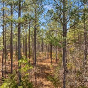 Photo #28 of Peacehaven, McConnells, SC