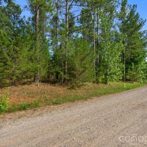 Photo #42 of Peacehaven, McConnells, SC