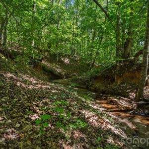 Photo #19 of Peacehaven, McConnells, SC
