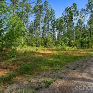 Photo #24 of Peacehaven, McConnells, SC