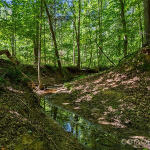 Photo #3 of Peacehaven, McConnells, SC