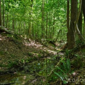 Photo #5 of Peacehaven, McConnells, SC