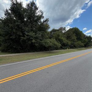 Photo #1 of Brewer, Pageland, SC