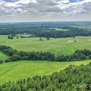 Photo #4 of Lucy Short Cut, Marshville, NC