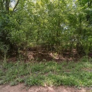 Photo #41 of Lucy Short Cut, Marshville, NC