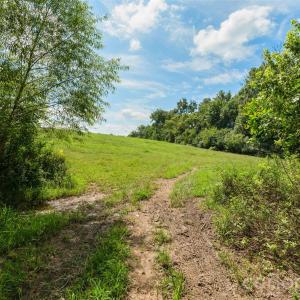 Photo #45 of Lucy Short Cut, Marshville, NC