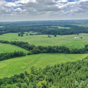 Photo #37 of Lucy Short Cut, Marshville, NC