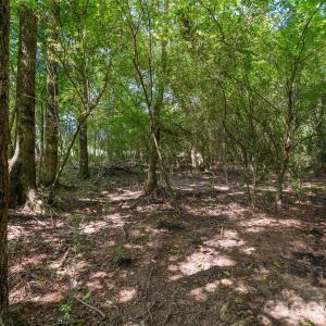 Photo #42 of Lucy Short Cut, Marshville, NC