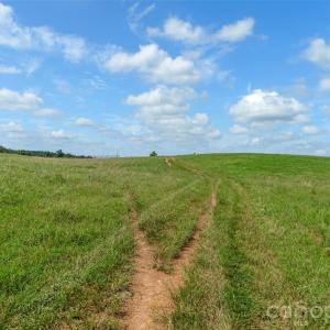 Photo #38 of Lucy Short Cut, Marshville, NC