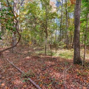 Photo #14 of Charleston, Indian Land, SC