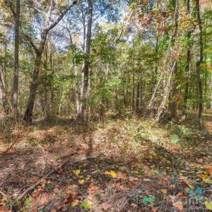 Photo #12 of Charleston, Indian Land, SC