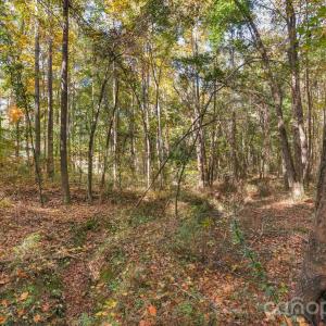 Photo #13 of Charleston, Indian Land, SC