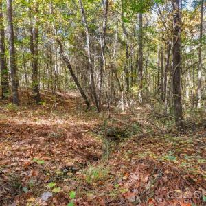 Photo #11 of Charleston, Indian Land, SC