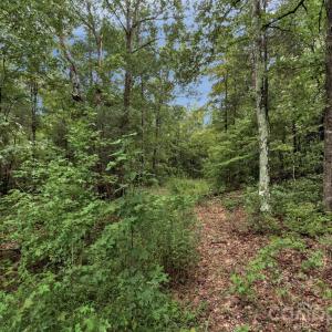 Photo #19 of Mountain, Cleveland, NC