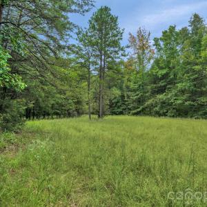 Photo #14 of Mountain, Cleveland, NC
