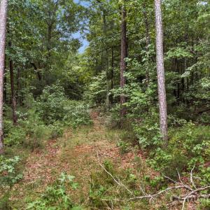 Photo #11 of Mountain, Cleveland, NC
