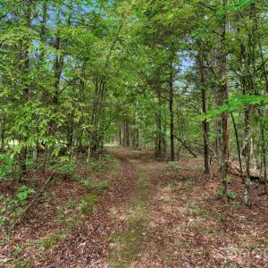 Photo #15 of Mountain, Cleveland, NC