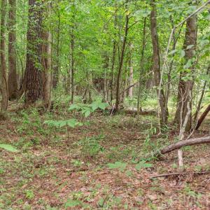 Photo #10 of Hwy 72, Carlisle, SC