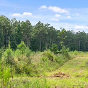 Photo #11 of Hwy 72, Carlisle, SC