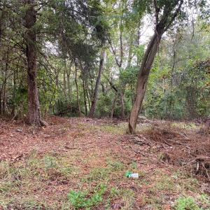 Photo #3 of 245 Slayton, Whitmire, SC