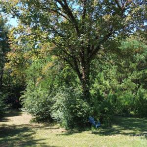 Photo #31 of 1466 King, York, SC