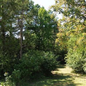 Photo #34 of 1466 King, York, SC