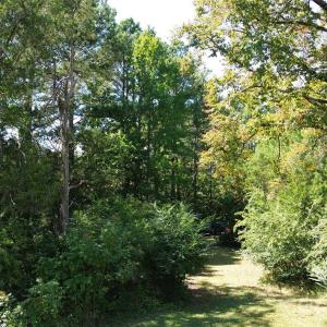 Photo #30 of 1466 King, York, SC
