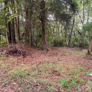 Photo #1 of Slayton, Whitmire, SC