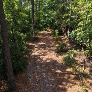 Photo #1 of 1216 Ross, Blackstock, SC
