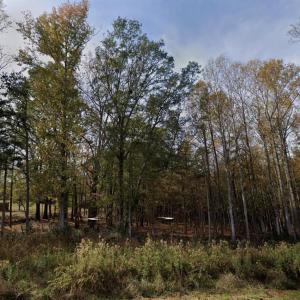 Photo #6 of 6149 Wylie, Hickory Grove, SC