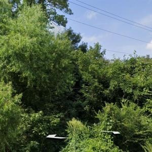 Photo #1 of Old Woodlawn, Lancaster, SC