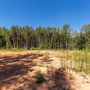 Photo #19 of 3020 Havenwood, Blackstock, SC
