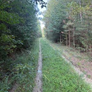 Photo #10 of Pleasant Grove Church, Wadesboro, NC