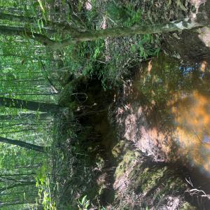 Photo #26 of TBD NC HWY 109, Wadesboro, NC