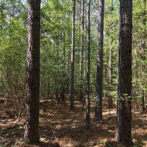 Photo #20 of TBD NC HWY 109, Wadesboro, NC