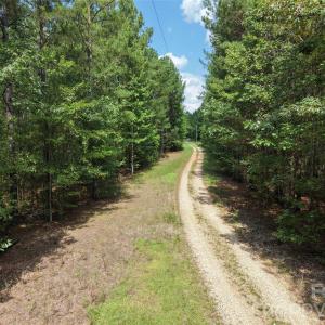 Photo #18 of TBD NC HWY 109, Wadesboro, NC