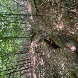 Photo #32 of TBD NC HWY 109, Wadesboro, NC