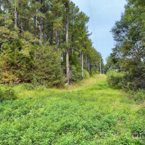 Photo #22 of St Martin, Albemarle, NC