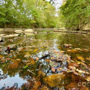 Photo #17 of St Martin, Albemarle, NC