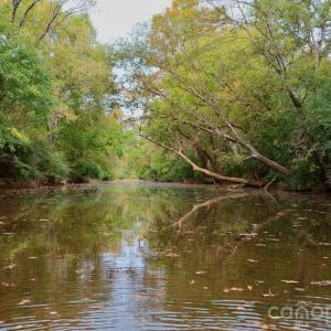 Photo #16 of St Martin, Albemarle, NC