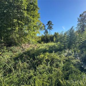 Photo #7 of Old Hwy 52, Wadesboro, NC