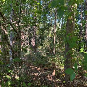 Photo #10 of Old Hwy 52, Wadesboro, NC