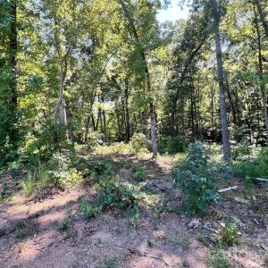 Photo #10 of Vac Brightwood, Norwood, NC