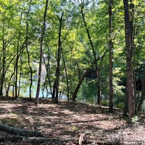 Photo #7 of Vac Brightwood, Norwood, NC