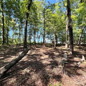 Photo #9 of VAC Brightwood, Norwood, NC